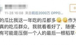 吃瓜群众评娱乐,吃瓜群众视角下的明星八卦解析